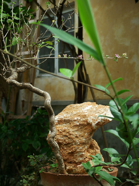 DSCF4124.JPG