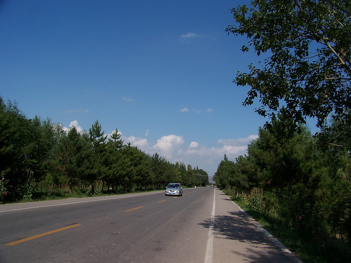 100_3875_缩小大小.JPG