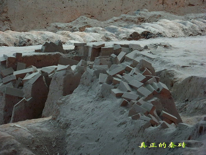 100_3934_缩小大小.jpg