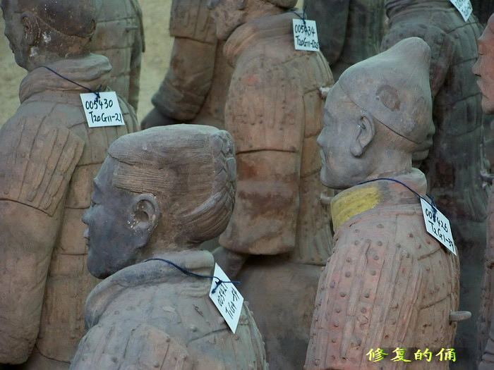 100_3950_缩小大小.jpg