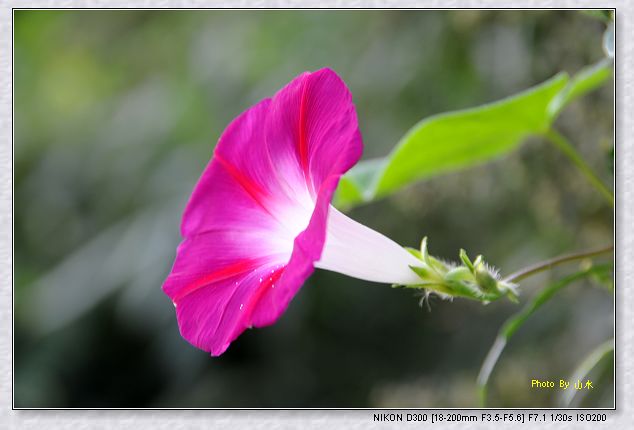 nEO_IMG_DSC_2895.jpg
