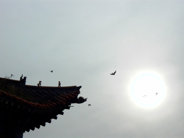 五台山烧香.jpg