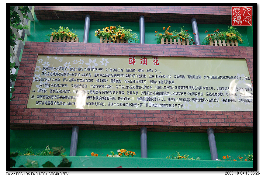 1CFV9416.jpg
