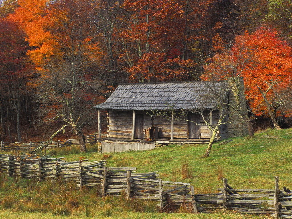 秋是林间悠然的木屋、栅栏