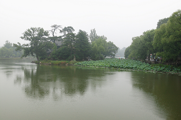 中间的小岛子既是烟雨楼