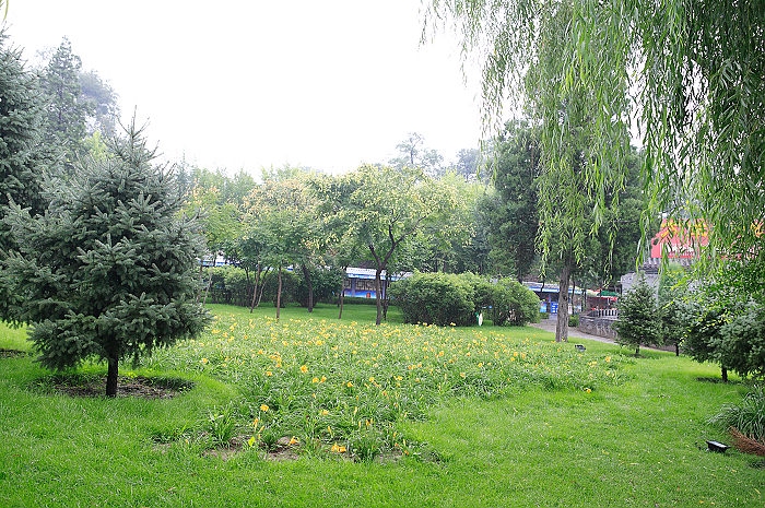 1CFV7210.jpg