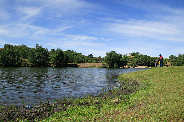 1CFV7947.jpg
