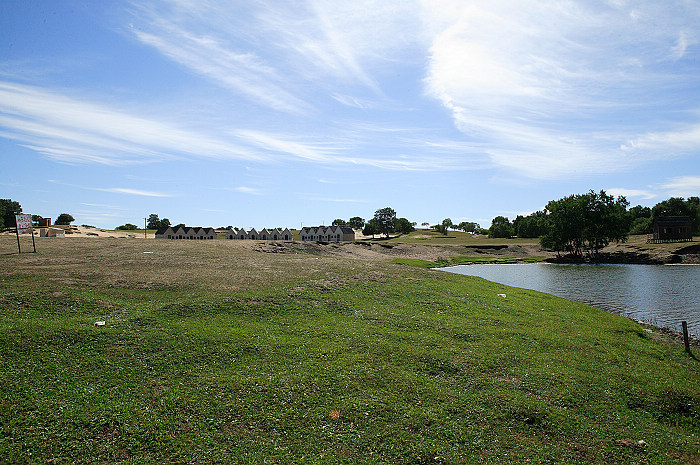 1CFV7950.jpg