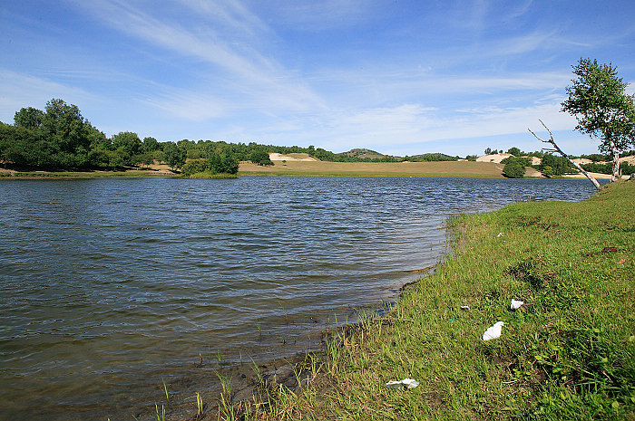 1CFV7960.jpg