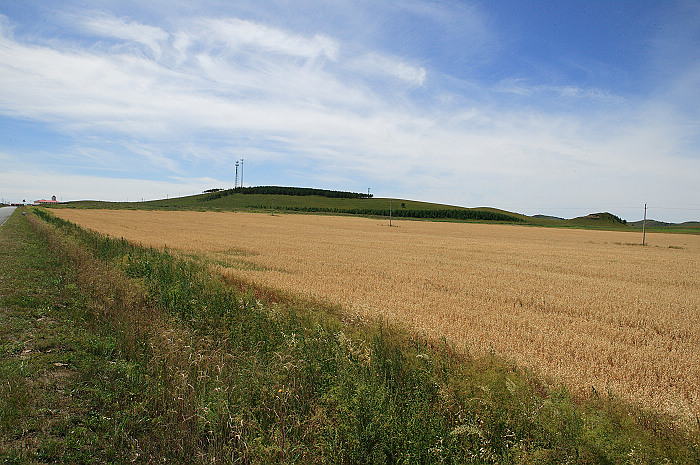 1CFV8111.jpg