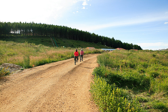 1CFV8260.jpg