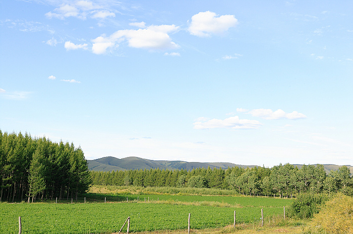 1CFV8266.jpg