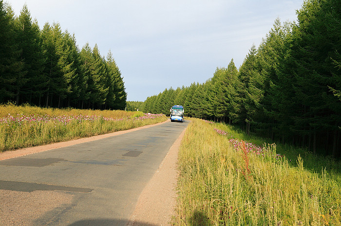 1CFV8287.jpg