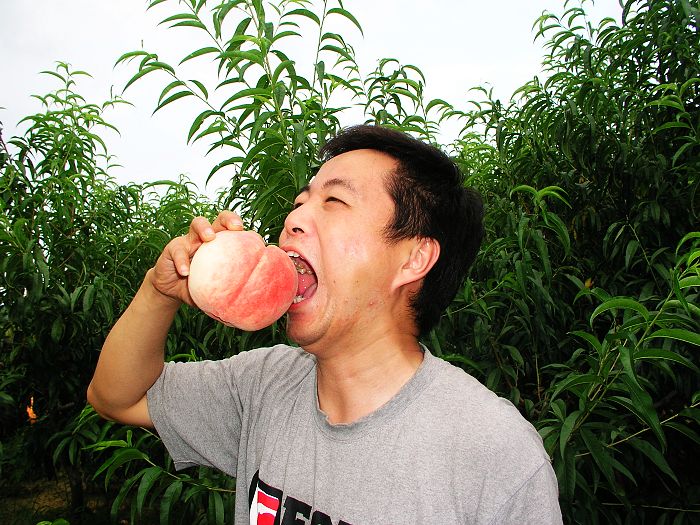 姚明