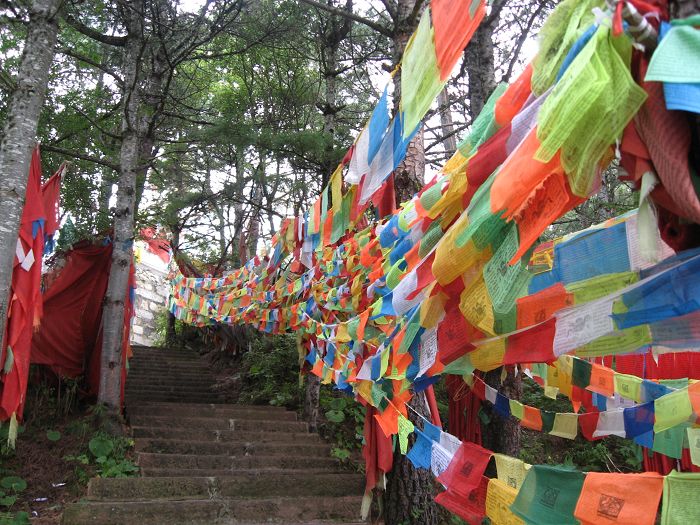 经嶓林1.jpg