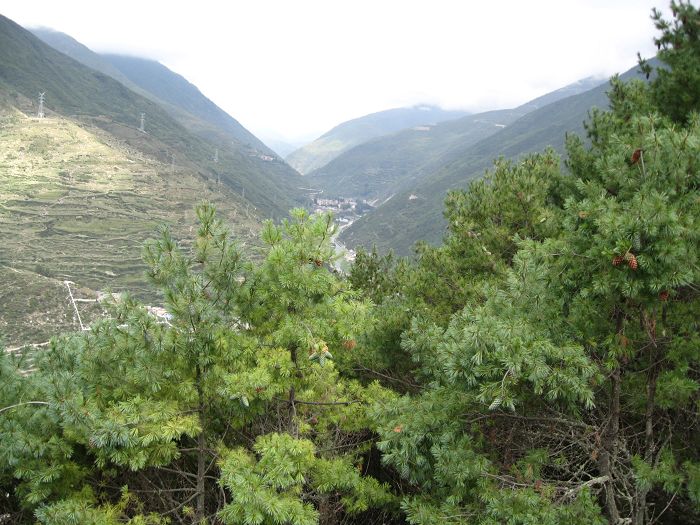 跑马山3.jpg