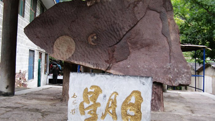 复制照片 798.jpg