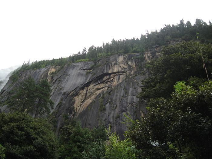 山鹰.jpg