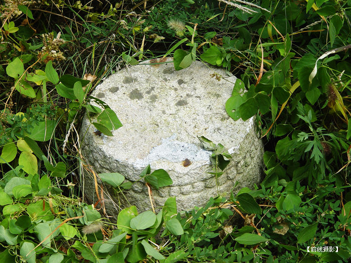 DSC05265-1.jpg