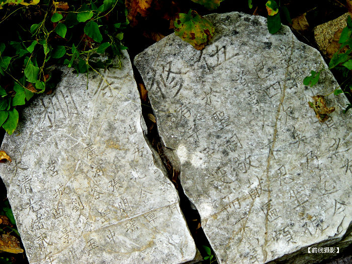 DSC05267-1.jpg