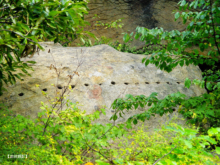 DSC05268-1.jpg