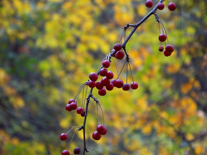 100_5041.JPG