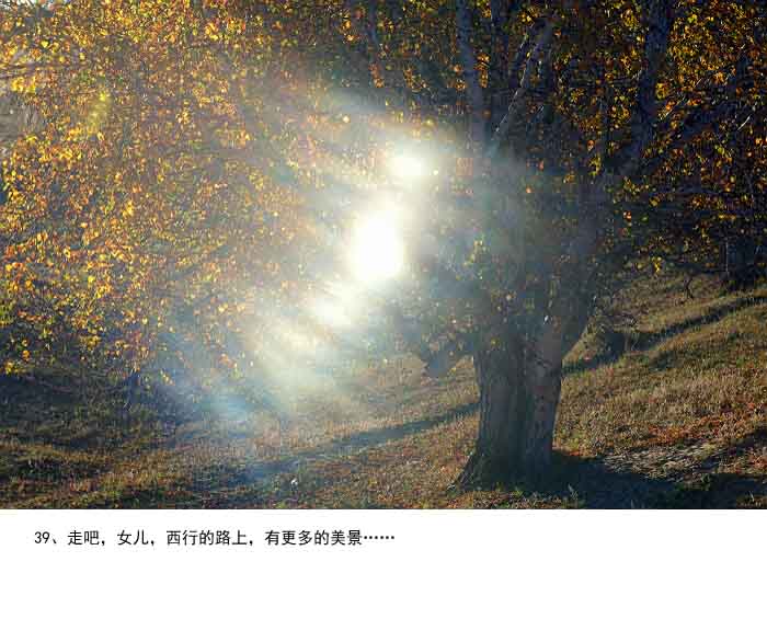 002-39.jpg