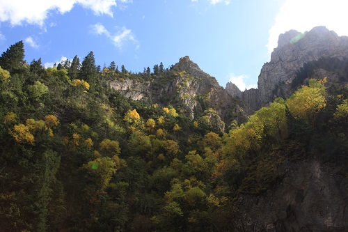 IMG_5978.JPG