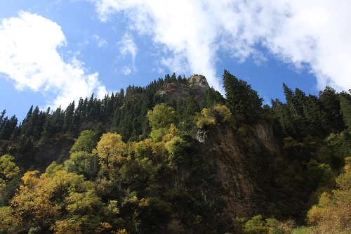 IMG_6001.JPG
