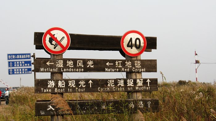 复制照片 275.jpg