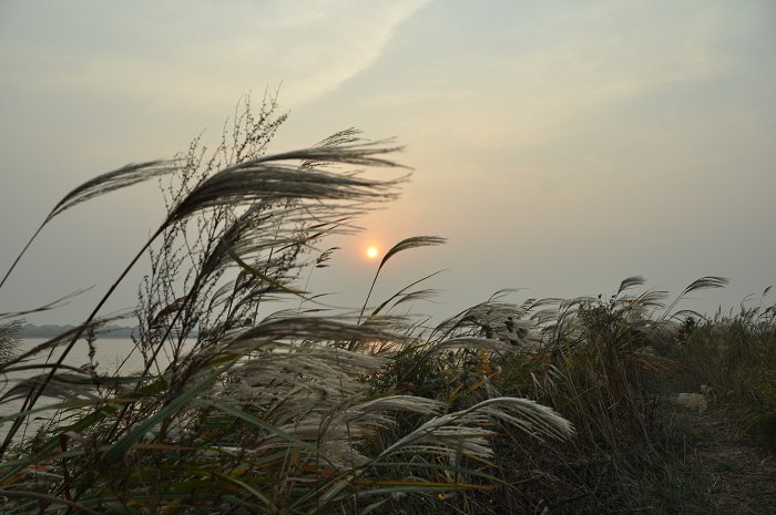 DSC_0566.jpg