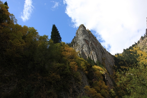 IMG_6039.JPG