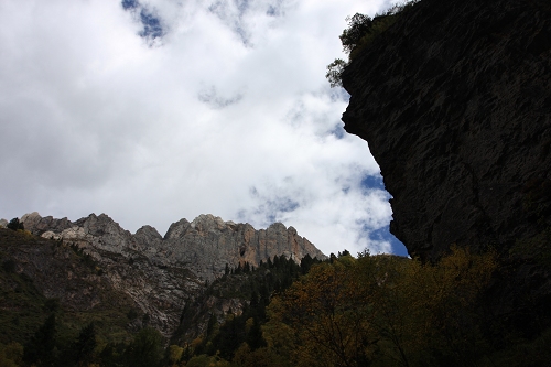 IMG_6037.JPG