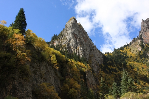 IMG_6044.JPG