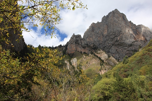 IMG_6051.JPG