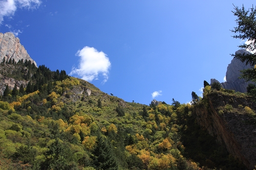 IMG_6063.JPG
