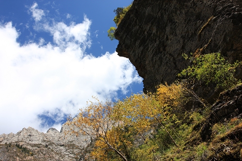 IMG_6075.JPG