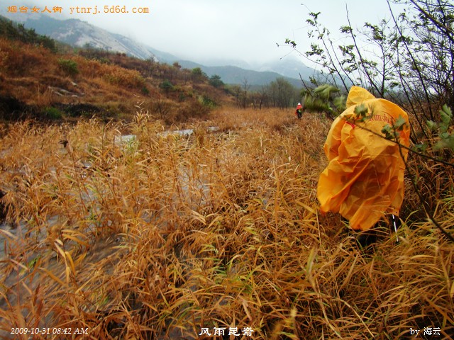 DSC04789.jpg