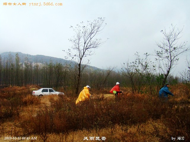 DSC04799.jpg