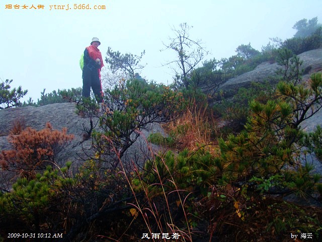 DSC04891.jpg