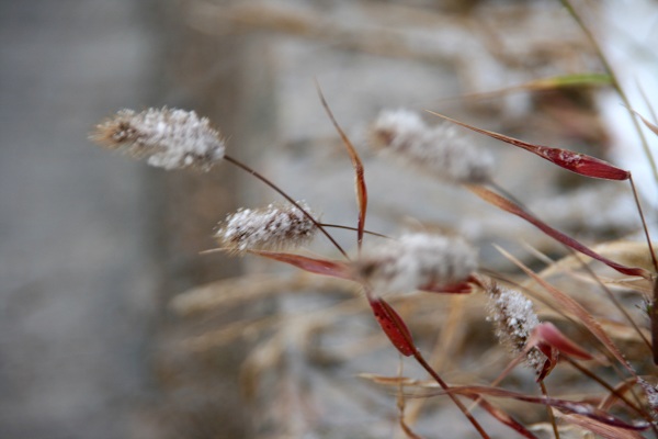 下雪了-02.jpg
