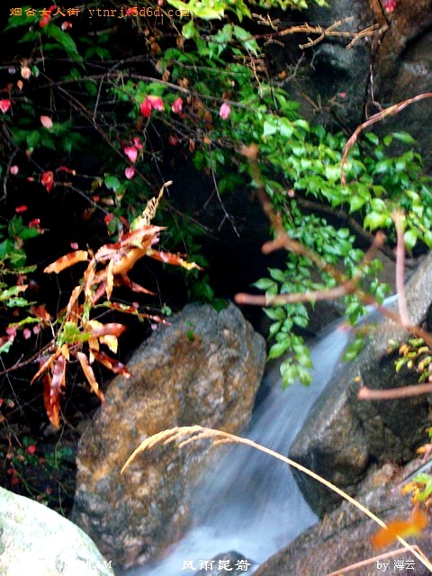 DSC04908.jpg