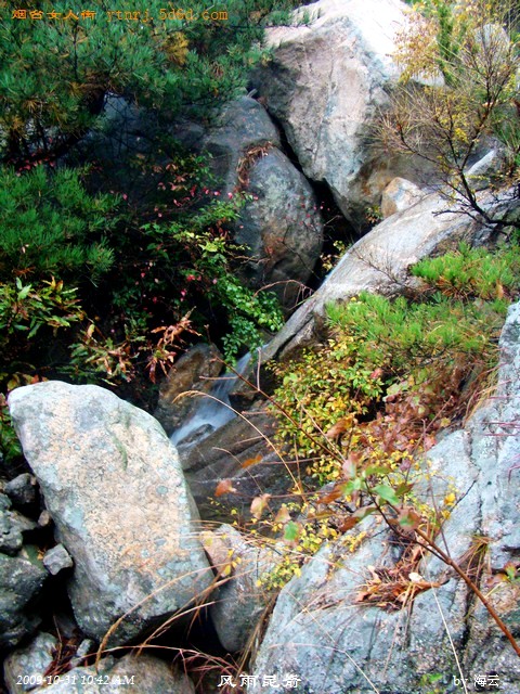DSC04905.jpg