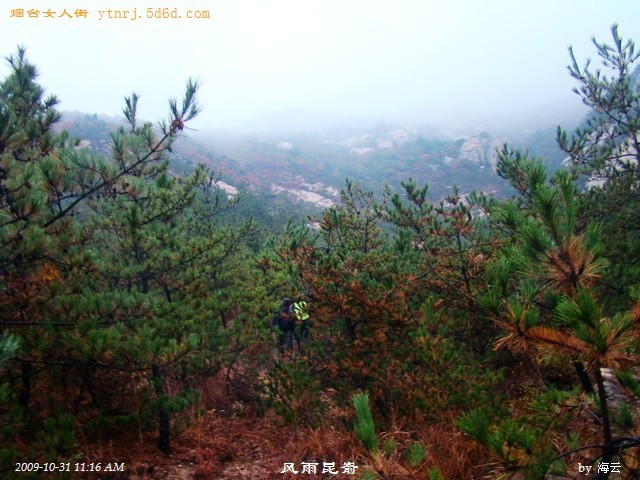 DSC04958.jpg
