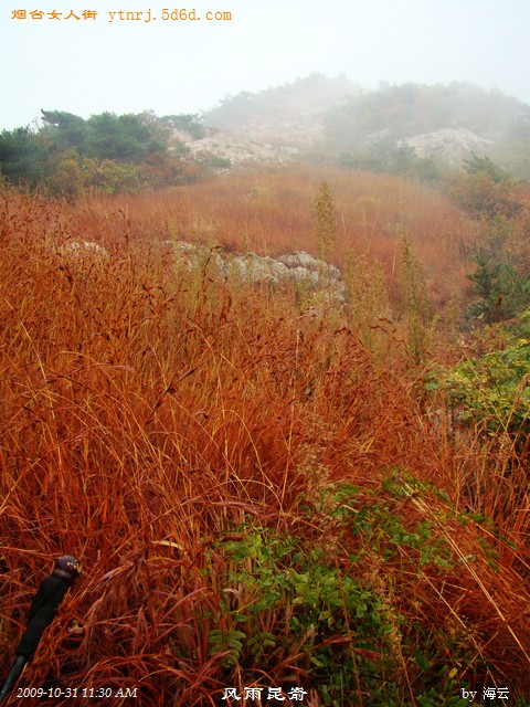 DSC04973.jpg