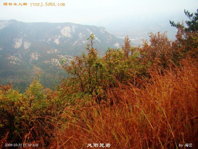 DSC04976.jpg