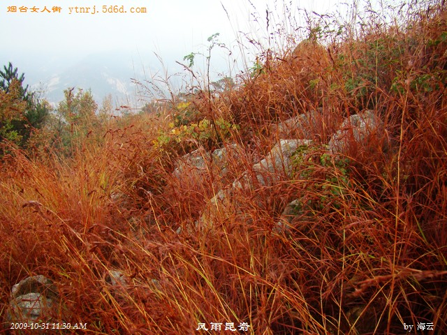 DSC04977.jpg