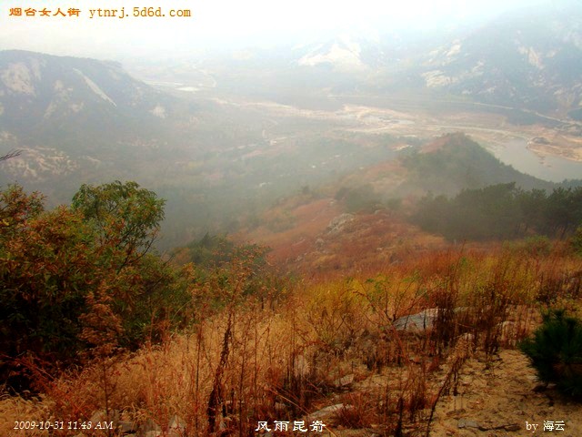 DSC04980.jpg