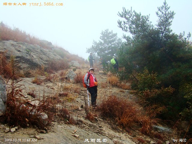 告别红地毯，去往九发观~