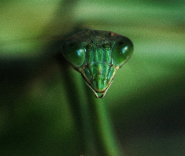 DSC_0376.JPG